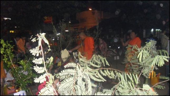 SAM_1148 (Small)